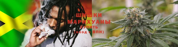 ГАЛЛЮЦИНОГЕННЫЕ ГРИБЫ Магадан