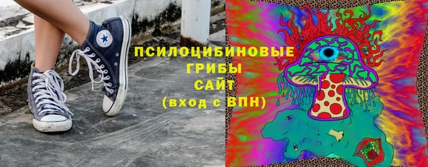 Альфа ПВП Магас