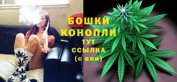 ГАЛЛЮЦИНОГЕННЫЕ ГРИБЫ Магадан