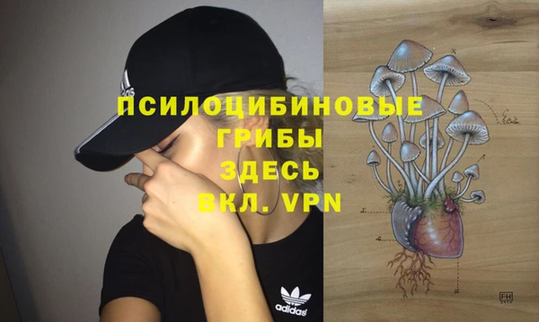 ГАЛЛЮЦИНОГЕННЫЕ ГРИБЫ Магадан