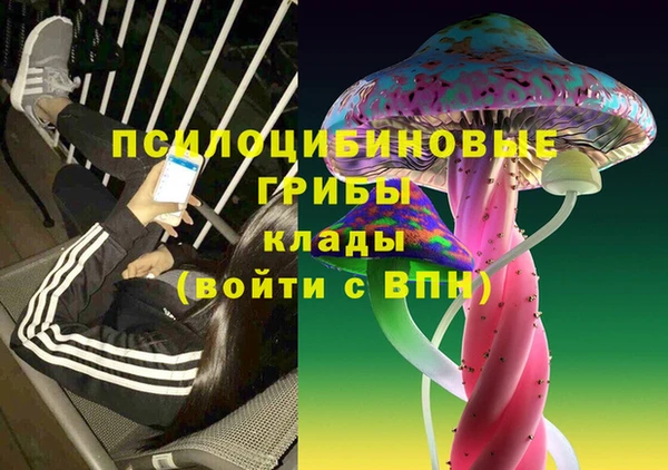 ГАЛЛЮЦИНОГЕННЫЕ ГРИБЫ Магадан