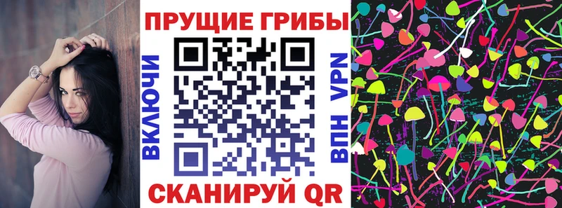 купить   сайты даркнета клад  Псилоцибиновые грибы Psilocybe  Зверево  ОМГ ОМГ  